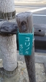 DSC00783.jpg