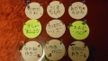 DSC00791.jpg