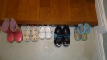 DSC00803.jpg