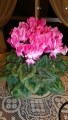 DSC00856.jpg