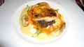 DSC00873.jpg