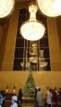 DSC00886.jpg