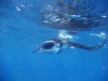 679f4494_2013121617291175e.jpg