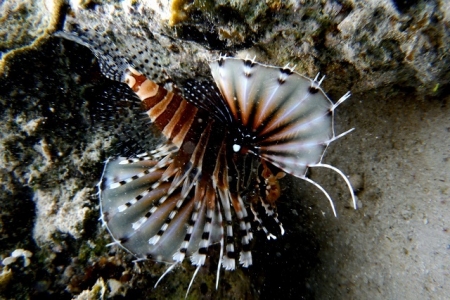 DSCF3094.jpg
