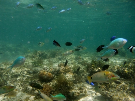 DSCF3098.jpg