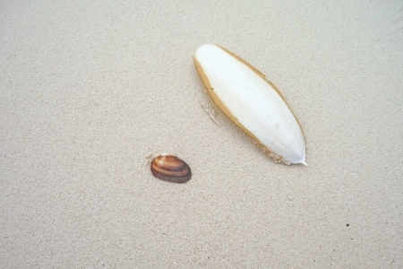 DSCF3137.jpg