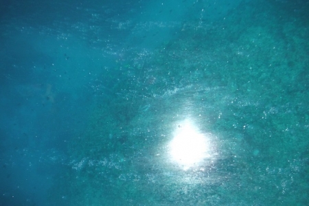 DSCF3149.jpg