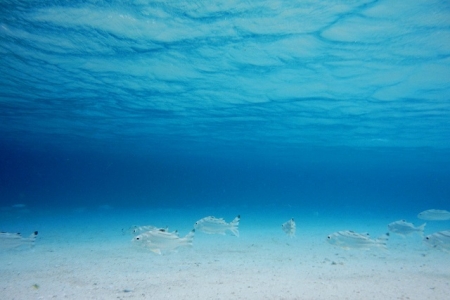 DSCF3191.jpg