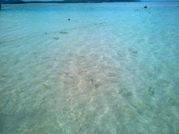 KIMG0794.jpg