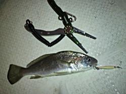 2012040719580001.jpg