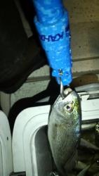 2012040723580001.jpg