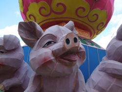 pig.jpg