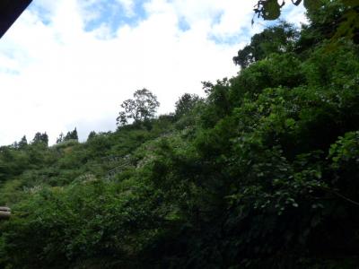 P1060580.jpg
