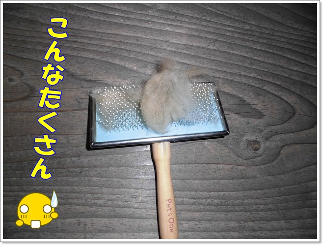 こんなたくさん