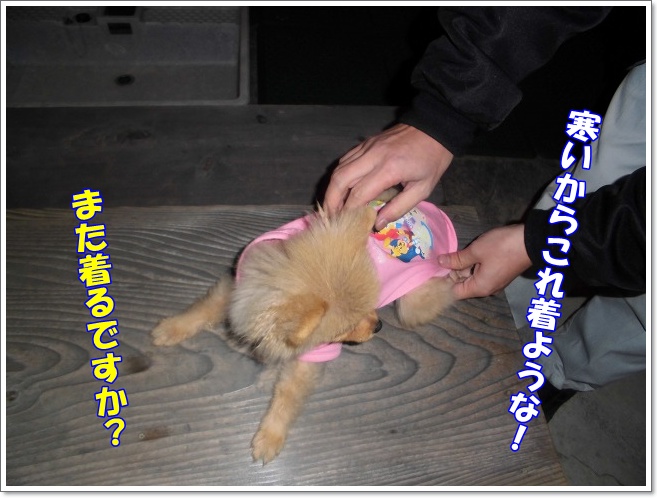 また着るの?