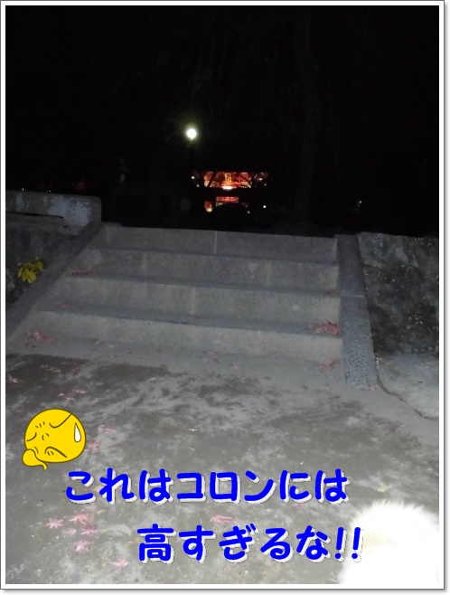 CIMG3115~1