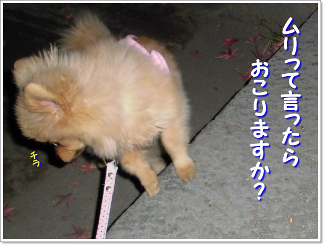ムリですけども・・・