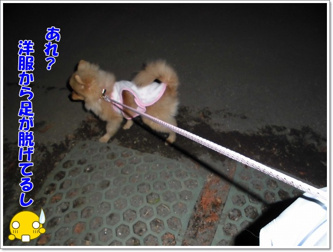 足が・・・