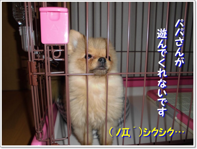 CIMG2953.jpg