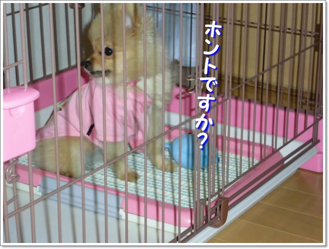 CIMG3031.jpg