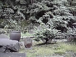 11-09-23_001.jpg