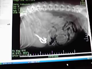 11-09-26_001.jpg