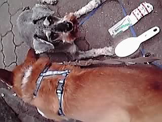 11-09-27_001.jpg