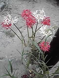 11-10-02_009.jpg