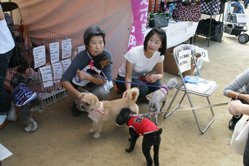DSC05988_R.jpg