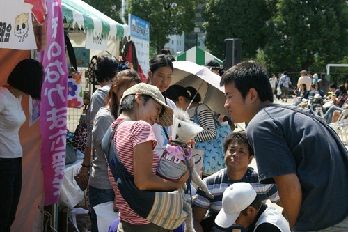 DSC06033_R.jpg