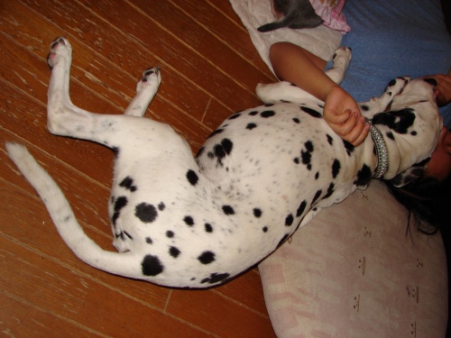 DSC07100.jpg