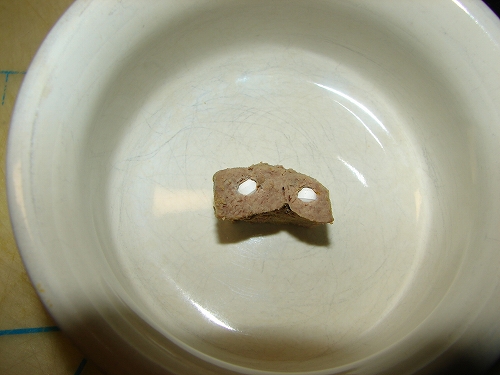 DSC07595.jpg
