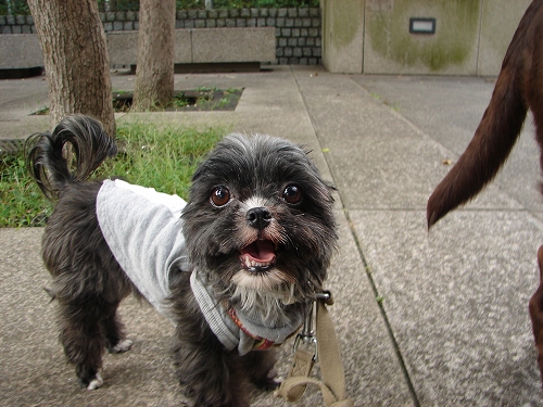 DSC07707.jpg