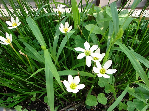 DSC07715.jpg