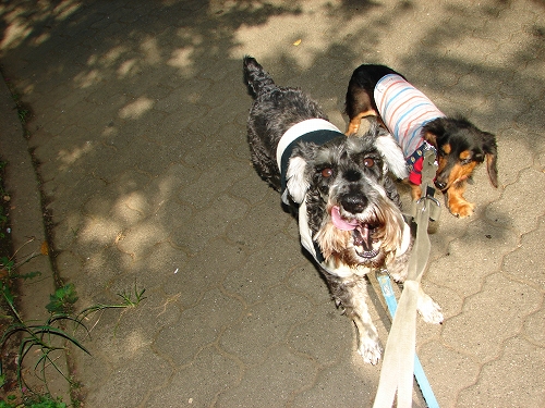 DSC07927.jpg