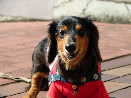 DSC07943.jpg