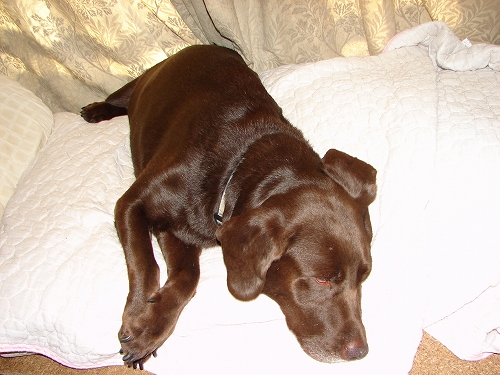 DSC08040.jpg