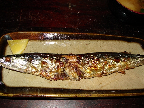 DSC08043.jpg
