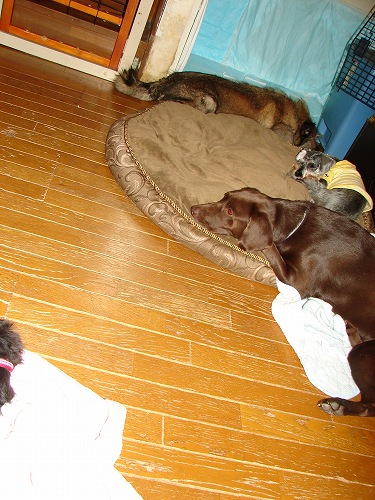DSC08113.jpg