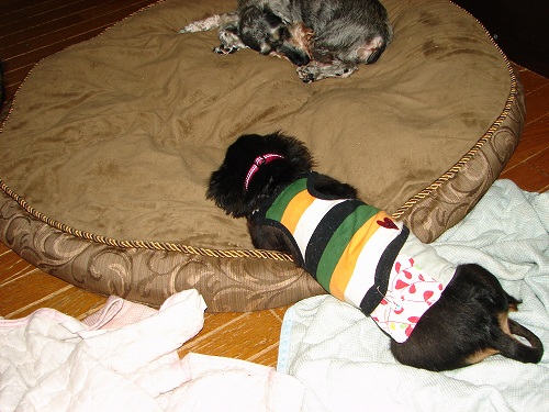 DSC08118.jpg