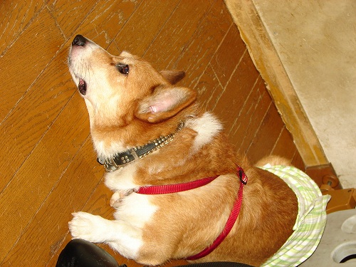 DSC08121.jpg