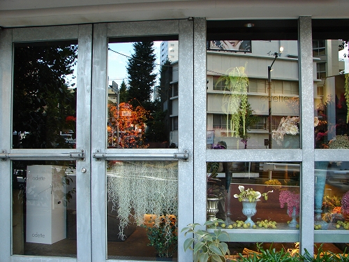DSC08135.jpg