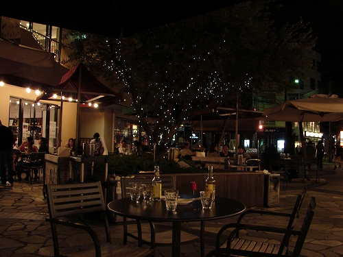DSC08155.jpg