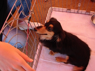 DSC08166.jpg