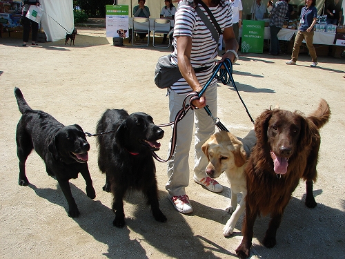 DSC08193.jpg