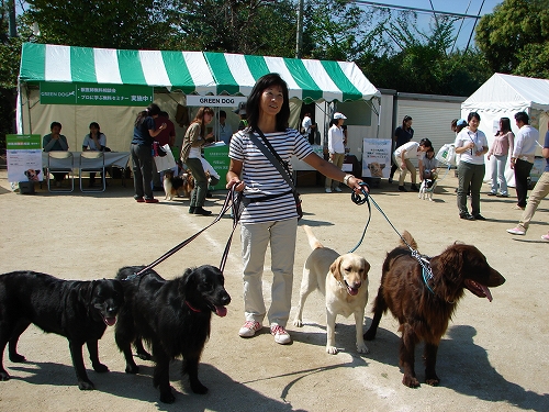 DSC08196.jpg