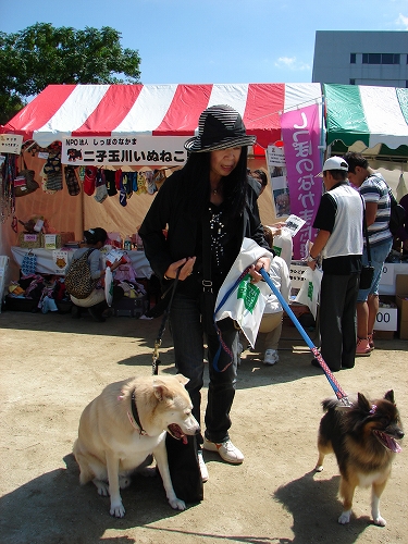 DSC08210.jpg