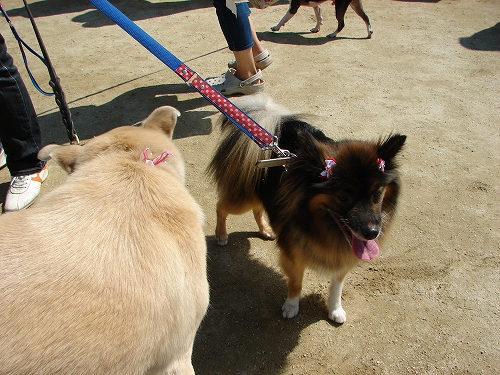 DSC08213.jpg