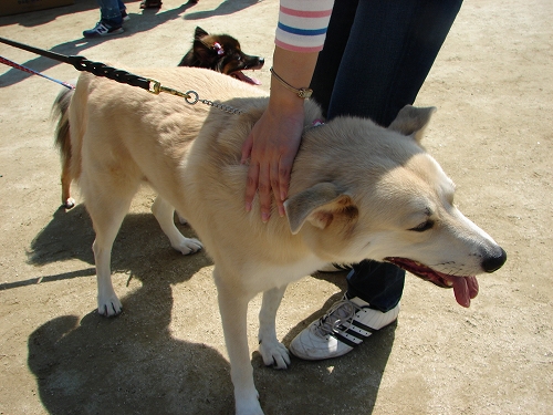 DSC08215.jpg