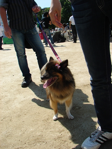 DSC08218.jpg